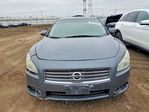 Nissan Maxima 2010