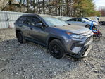 Toyota RAV 4 2020