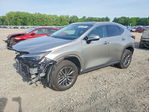 Lexus NX 2025