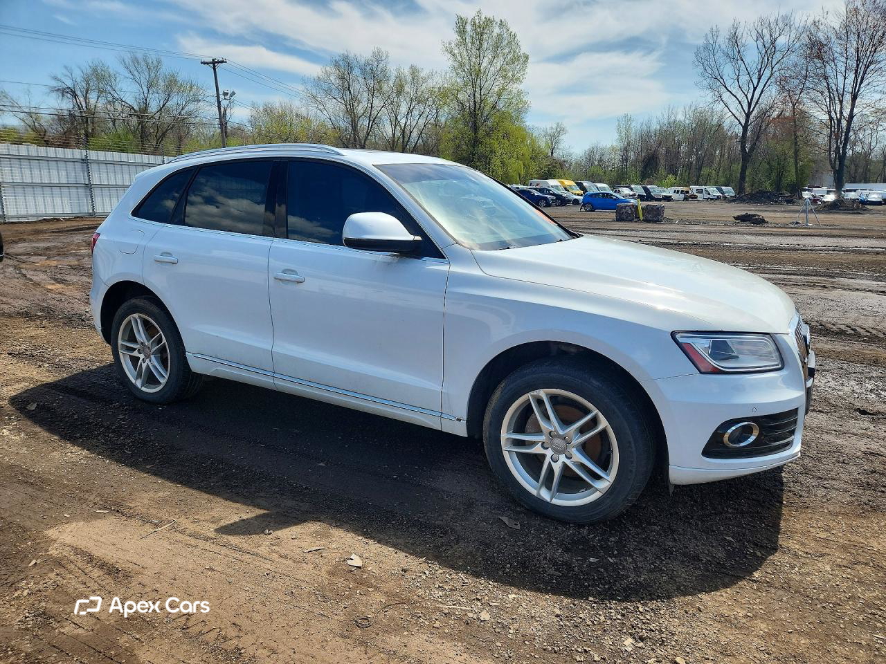 Audi Q5 2014