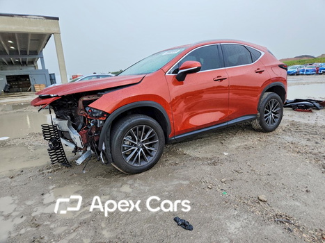 Lexus NX 2023 - Zdjęcie 1 z 14