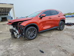 Lexus NX 2023