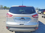Ford Escape 2013