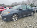 Lexus HS 2010