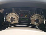 Ford Expedition 2008