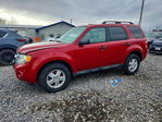 Ford Escape 2011