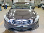 Honda Accord 2010