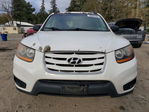 Hyundai Santa Fe 2010