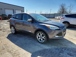 Ford Escape 2013