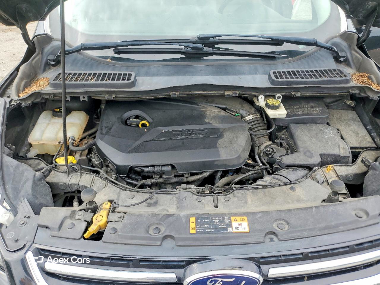 Ford Escape 2014