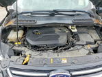 Ford Escape 2014