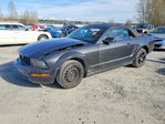Ford Mustang 2008