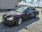 Nissan Maxima 2010