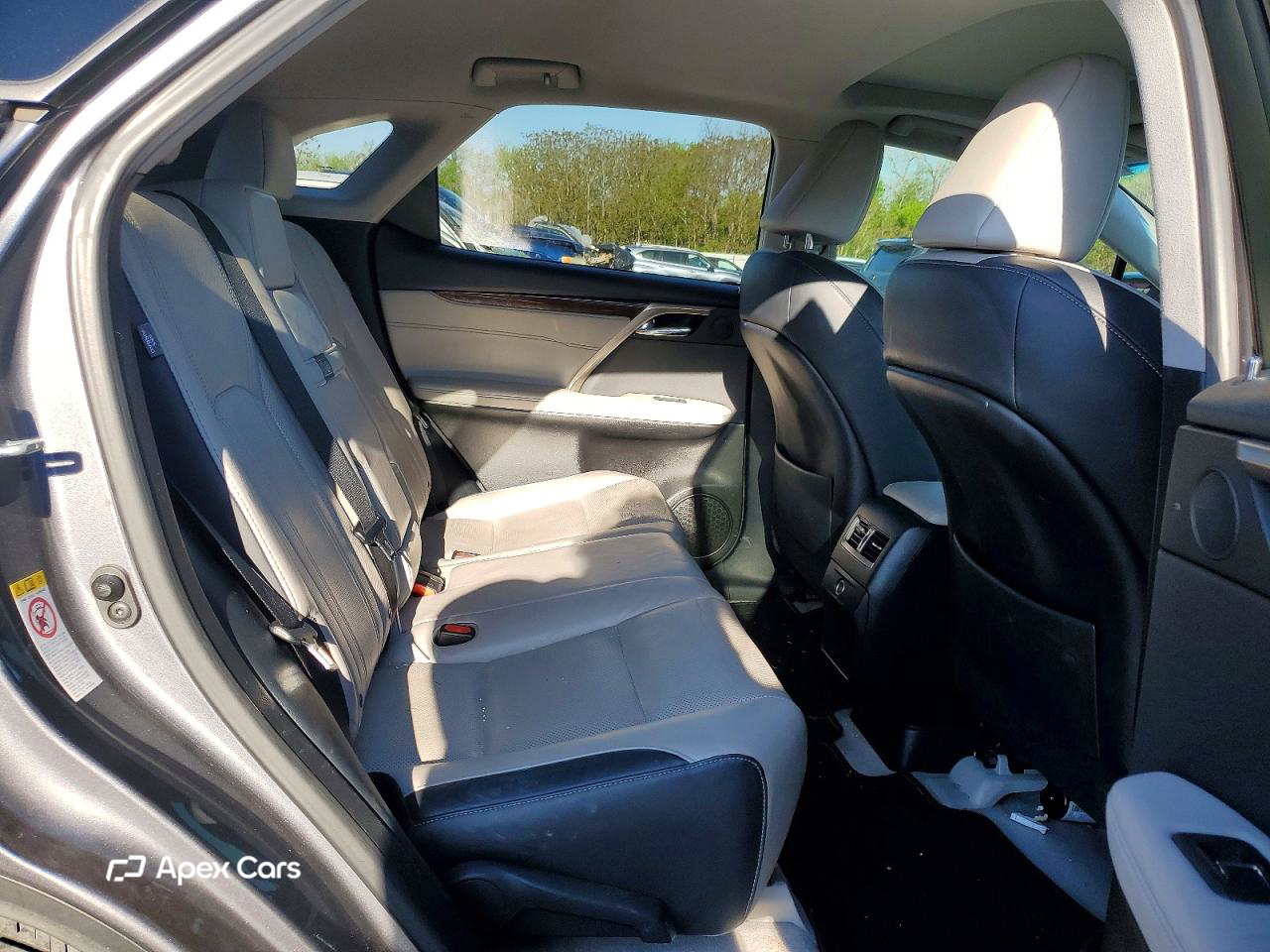 Lexus RX 2019