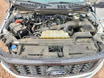 Ford F-150 2024