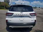 Ford Escape 2020