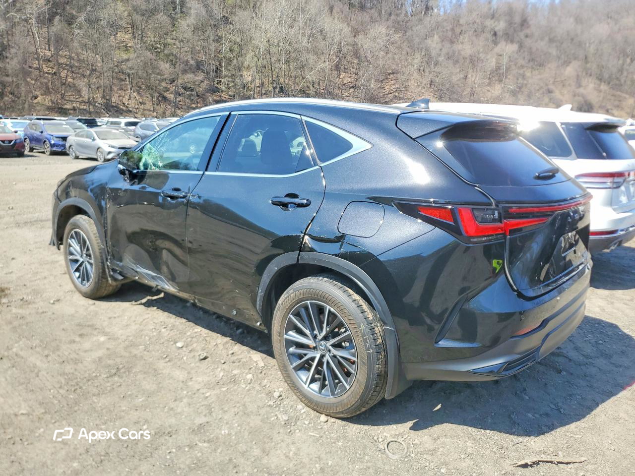 Lexus NX 2025