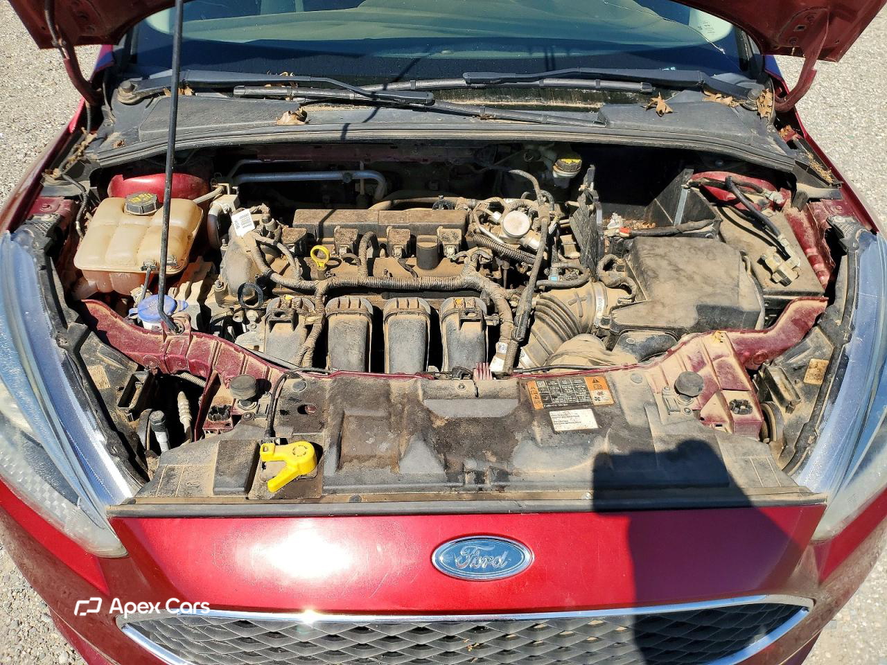 Ford Focus 2016