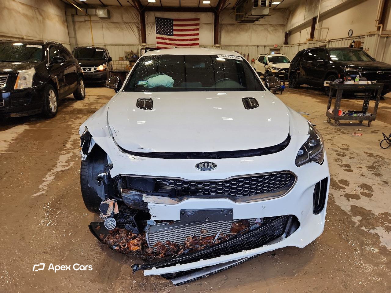 Kia Stinger 2019