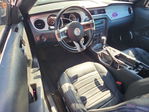 Ford Mustang 2013