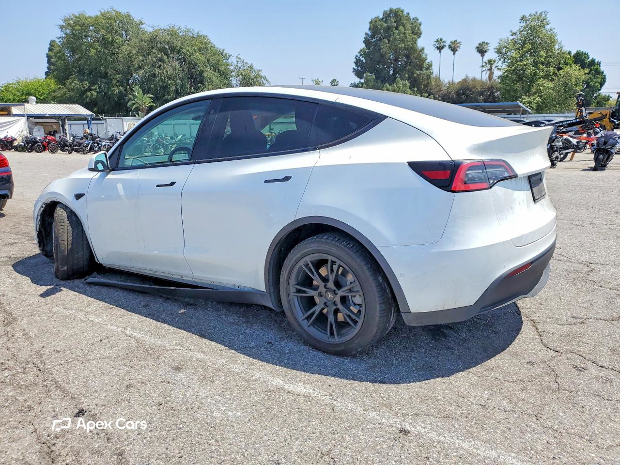 Tesla Model Y 2020