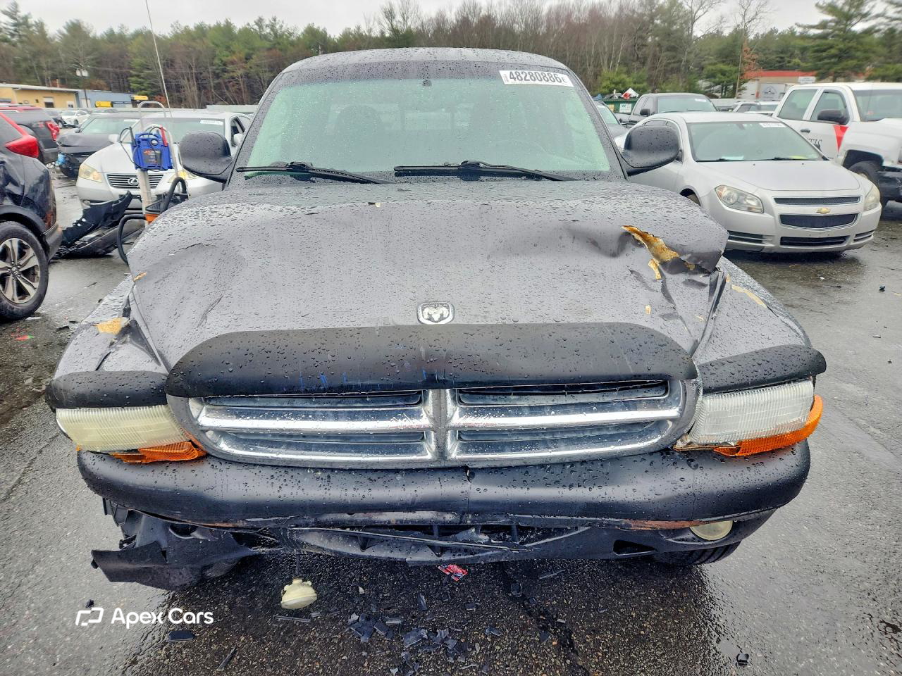Dodge Dakota 2004