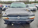 Dodge Dakota 2004