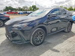 Lexus NX 2023