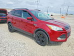 Ford Escape 2016