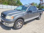 Ford F-150 2005