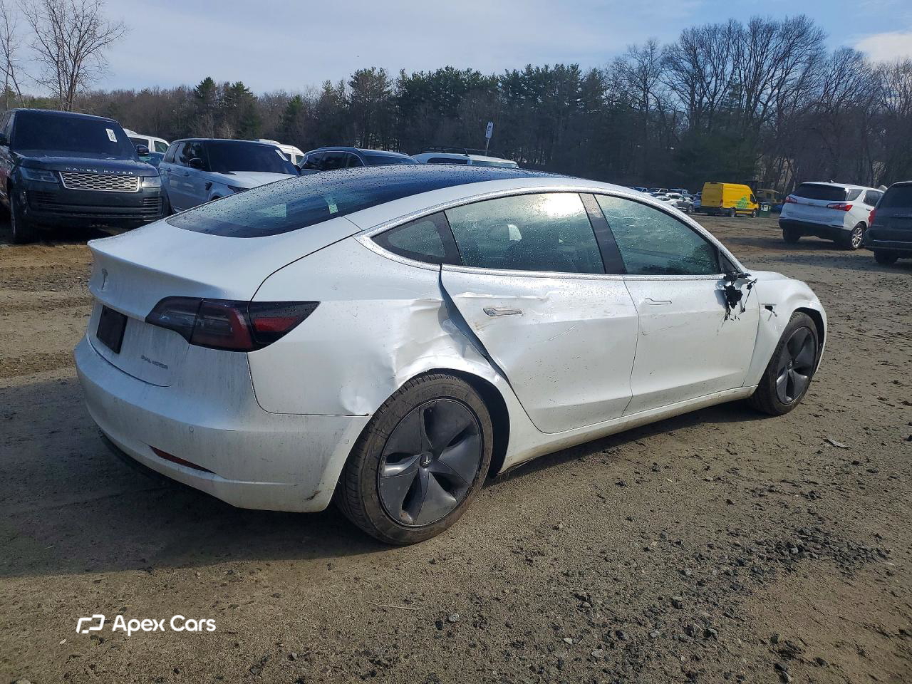 Tesla Model 3 2020