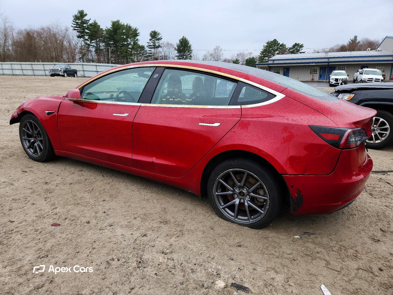 Tesla Model 3 2020