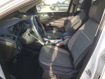 Ford Escape 2015