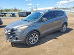 Ford Escape 2014