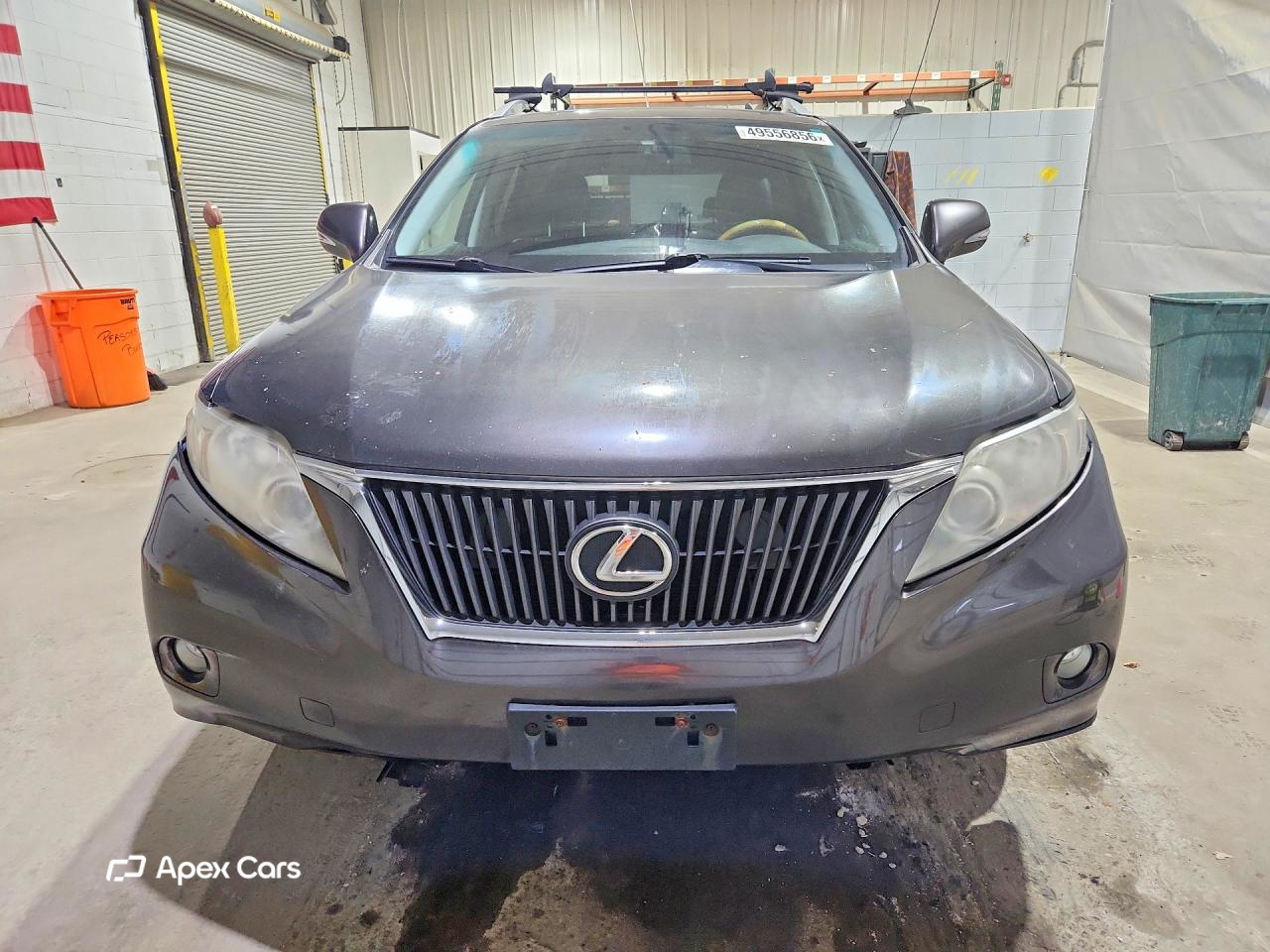 Lexus RX 2010
