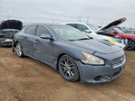 Nissan Maxima 2010