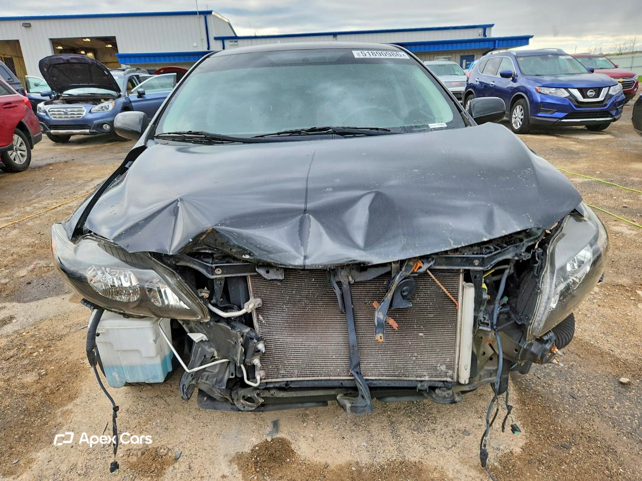 Toyota Corolla 2010