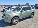 Ford Escape 2008
