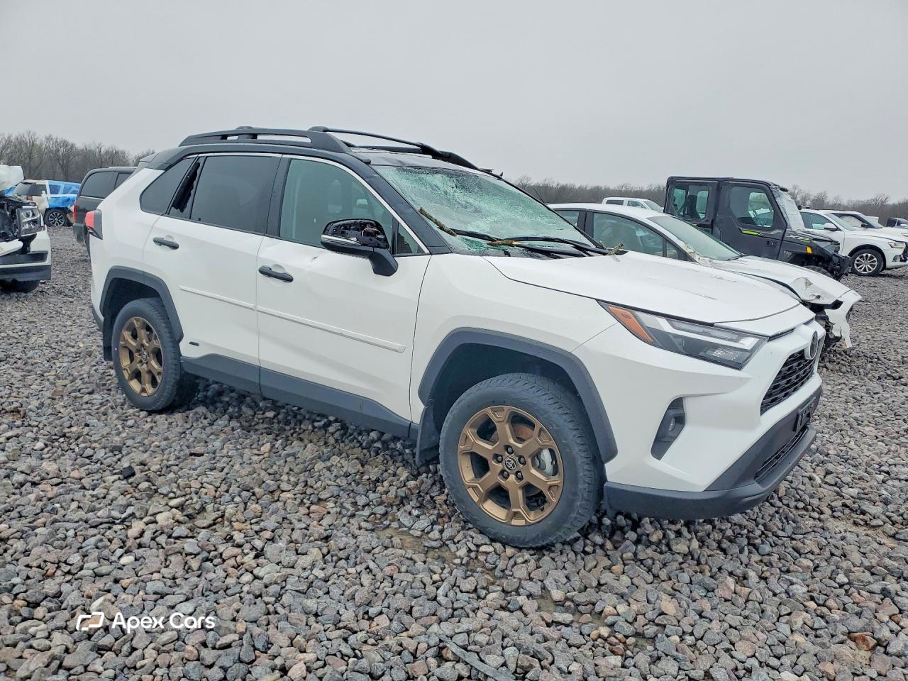 Toyota RAV 4 2025