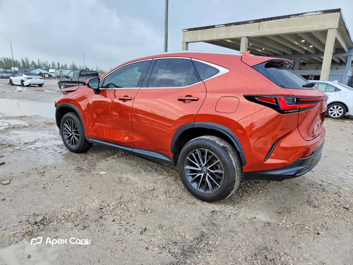 Lexus NX 2023