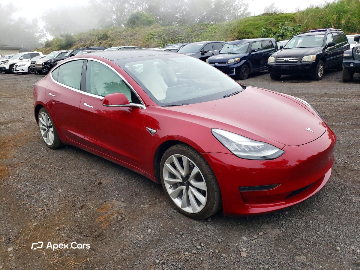 Tesla Model 3 2019