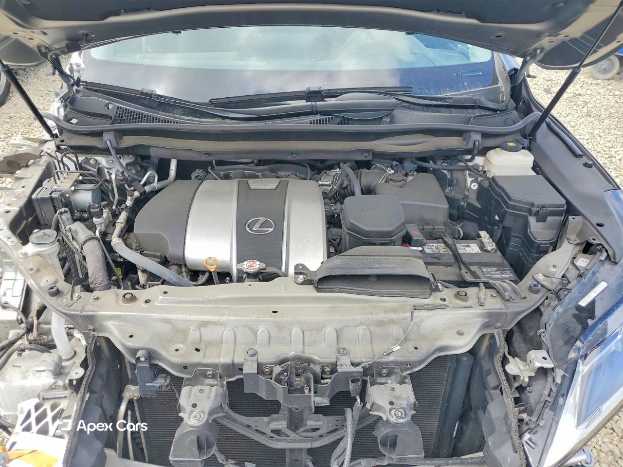 Lexus RX 2022