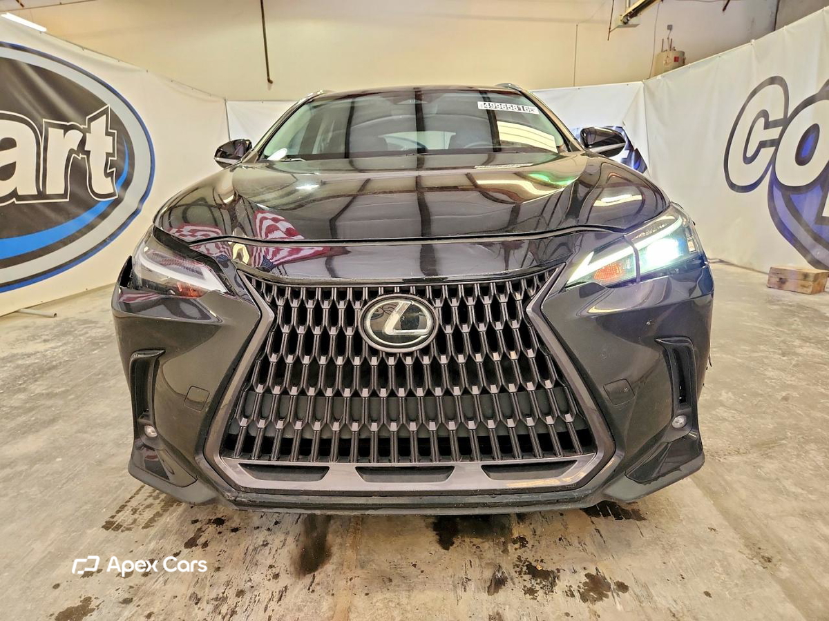 Lexus NX 2022