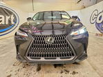 Lexus NX 2022