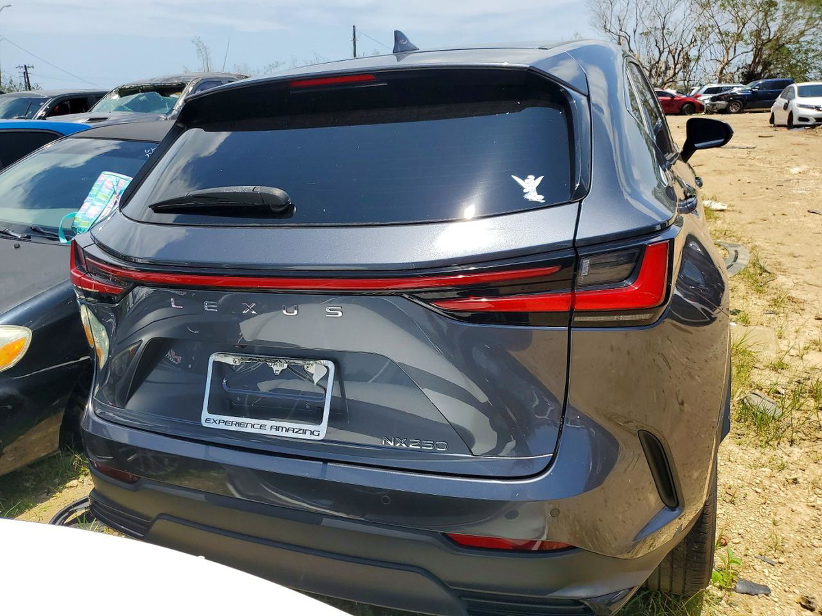 Lexus NX 2024