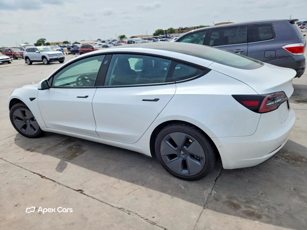 Tesla Model 3 2021
