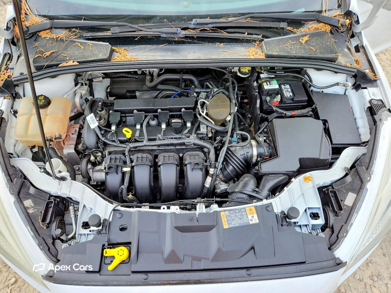 Ford Focus 2016