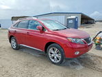 Lexus RX 2010