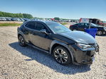 Lexus UX 2020