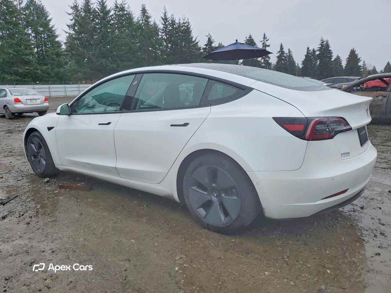Tesla Model 3 2021
